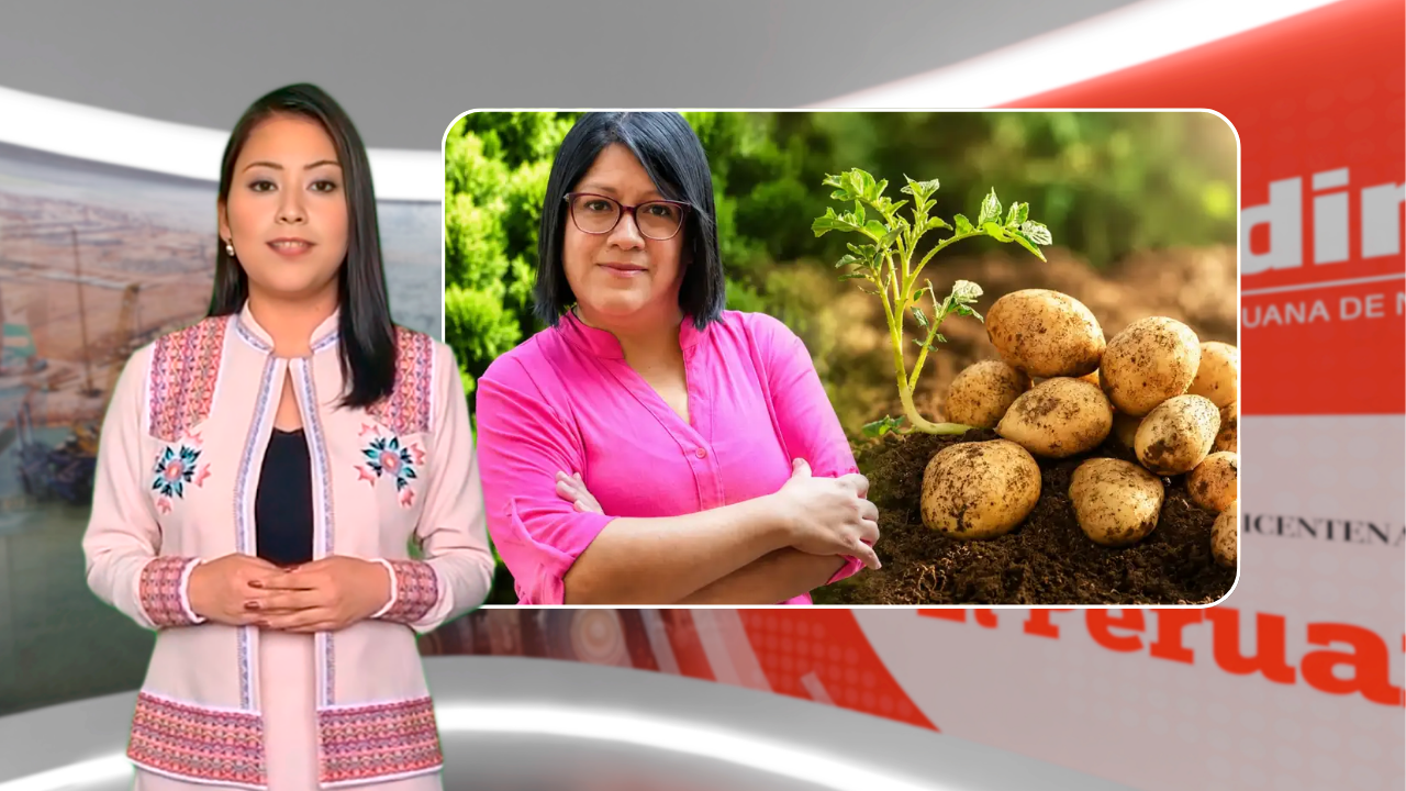 Video Andina